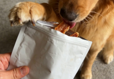 成都幼犬零食购买注意知识